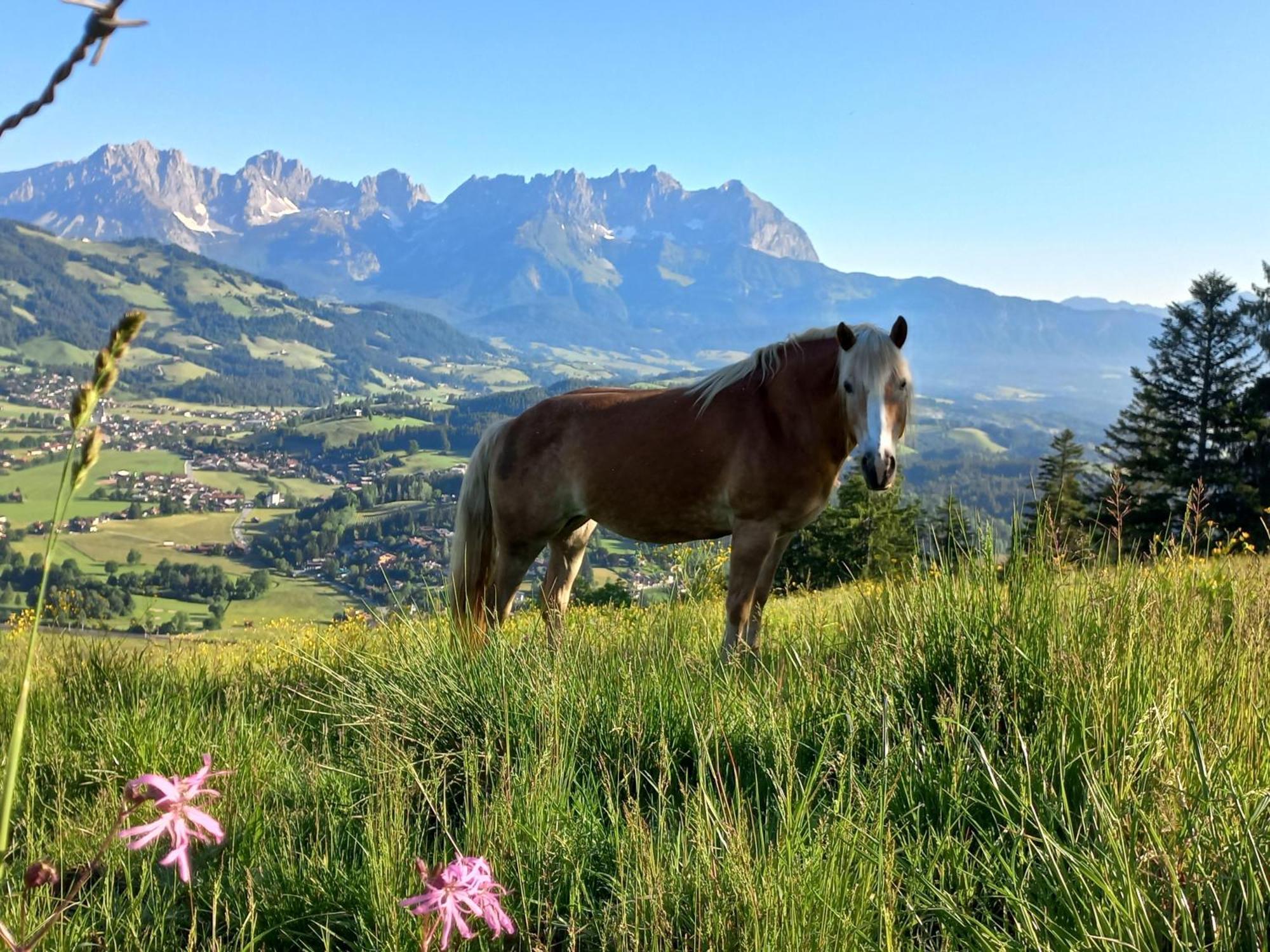 Villa Hahnenkammblick Kitzbühel Esterno foto