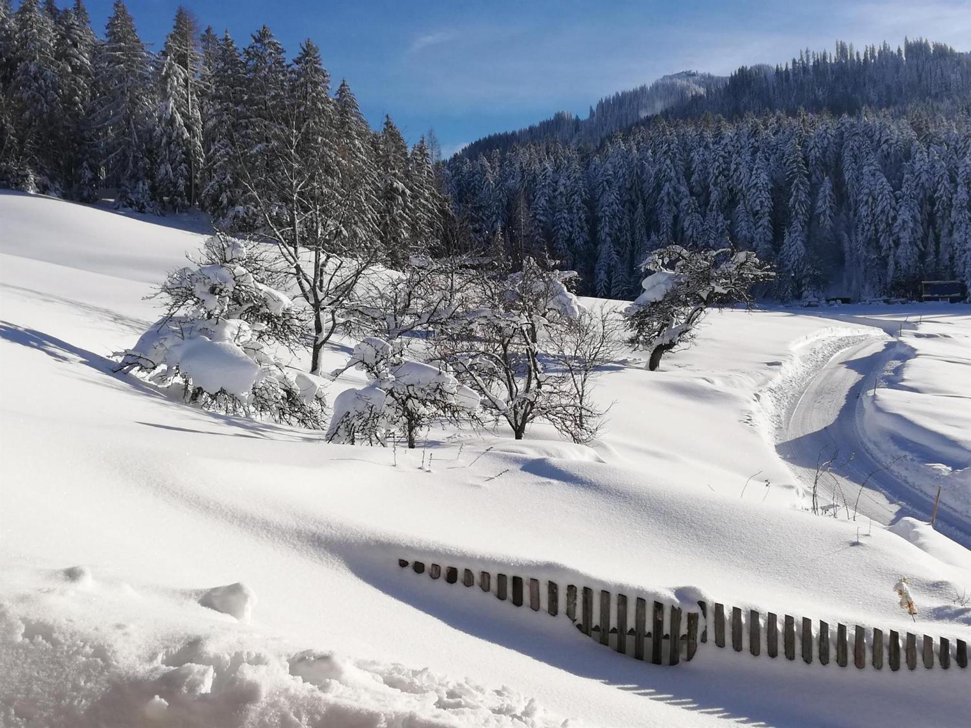 Villa Hahnenkammblick Kitzbühel Esterno foto
